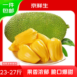 京鲜生海南菠萝蜜 23-27斤 净重23斤+  中秋节送礼 生鲜水果 源头直发