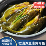 顺丰微山湖野捕野生黄骨鱼黄辣丁黄颡鱼昂刺鱼活鱼现杀嘎鱼鲜活炖 中号黄骨鱼保鲜盒发货【每斤5-8条】 1斤装【现杀发货损耗15%】