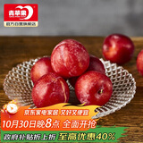 青苹果水晶光泽玻璃水果盘轻奢家用客厅会所婚庆装饰8.5英寸