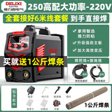 德力西 电焊机250家用小型单电压220v逆变直流两相电手工焊机 全套6米【250新款大功率】