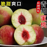 山东青州蜜桃新鲜桃子毛桃甜桃青桃硬桃孕妇脆甜应季水果冬雪 精选5斤【单果100g+】净重4.5斤