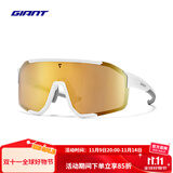 捷安特Breeze和风全框正镀膜带近视内挂户外运动自行车骑行眼镜 全框哑白/金 正镀膜 带近视内挂