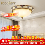 韬齐 欧式吸顶灯客厅现代简约主卧室灯美式阳台灯具 18160D-大号 直径48CM 配单色LED灯泡