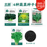 北蔬 蔬菜种子种苗套餐秋播四季可种阳台盆栽带肥料 4包蔬菜种子套装