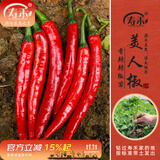 寿禾 蔬菜苗活苗带土发货大全菜苗种苗秋冬各种秧苗山东寿光苗子阳台 美人辣椒苗 6棵