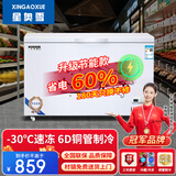 星奥雪冰柜商用家用卧式冷柜大容量冷藏冷冻展示柜双温商用大容量冷冻柜商用大冰柜 598单温智能铜管款（长1.15米）