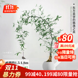 叹为观止 大型盆栽 单杆辫子发财树天堂鸟绿萝散尾葵办公室内开业乔迁礼品 小叶簕竹1.5-1.8米【圆球盆】 含盆