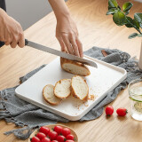 阿司倍鹭（ASVEL）日本进口厨房切水果切菜板双面辅食粘砧板案板斜面塑料面板擀面板 M号