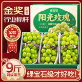 山姆大叔 阳光玫瑰葡萄【JD顺丰-多地次日达】 青提新鲜水果礼盒年货礼品 【精品向阳果】5斤礼盒｜玫瑰香味足｜净4 尝鲜果｜单果6-8g