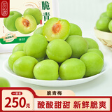 甜心屋脆青梅250g 爽口梅大果休闲零食蜜饯果干孕妇独立包装小零食