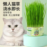 欢宠网猫草套装猫草种子盆栽懒人罐头水培土培种植猫零食猫咪化毛猫薄荷