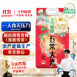十月稻田 五常大米 5斤（东北大米 香米 五斤）