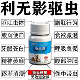 利无影内外驱虫猫狗内外驱虫猫驱虫片狗狗驱虫去跳蚤虱子蜱虫专用 1瓶【狗狗快速驱虫】兽医推荐