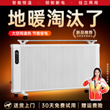 扬子（YANGZI）2025新型石墨烯取暖器电暖器家用节能省电全屋客厅卧室大面积碳纤维电暖气取暖神器 【壁挂推荐】碳纤维单面发热-1000w