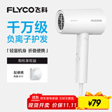 飞科（FLYCO）负离子电吹风机家用便携出游速干冷热风大功率吹风筒FH6276