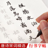 御宝阁 行书毛笔字帖描红临摹成人字帖宣纸学生练毛笔字书法套装 唐诗100张【20个内容】 标配版【描红字帖】
