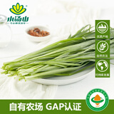小汤山 韭菜 250g 基地直供新鲜蔬菜GAP认证
