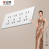 公牛（BULL）开关插座超薄蝶翼118型十二孔20孔插座G57Z456暮雪白