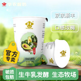 华农酸奶新品丨牛油果酸牛奶丨 16瓶低温奶发酵乳酸奶益生菌早餐奶 牛油果酸牛奶150g 16瓶+保温礼袋