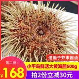 小平岛（xiaopingdao）【活鲜】新鲜大黄金海胆（3-4个左右1斤）黄海胆鲜活即食海胆 大黄海胆500g(3-4个)