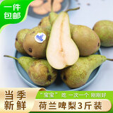 京鲜生荷兰啤梨3斤装 软糯香甜 单果130g-170g 源头直发 一件包邮