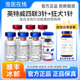 英特威进口英特威犬用二联四联六联疫苗狗幼犬成犬宠物狗狗 四联3针+犬康高端狂犬一针+维生素