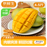 京鲜生新鲜玉芒  净重4.5斤 单果200g＋ 新鲜芒果 源头直发包邮