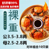 【活蟹】湖鲜阳澄大闸蟹公3.5-3.8两 母2.5-2.8两5对10只鲜活螃蟹生鲜礼盒装源头直发