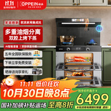 欧派（OPPEIN）【国家补贴】集成灶消毒柜一体式集成灶蒸烤一体独立蒸烤箱保洁柜变频家用集成灶一体式 【70L上下蒸烤箱】油烟分离网款-彩屏炫AI语音 液化气20Y
