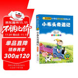 小布头奇遇记 儿童文学 注音版 一二三年级小学生课外阅读经典丛书 课外阅读系列