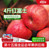 青怡陕西特产洛川红富士时令苹果新鲜水果礼盒 源头产地包邮直发 4斤【大果】210g+