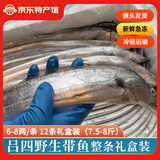吕洞宾吕四带鱼东海黄海鱼类整条小眼老鹰带鱼刀鱼生鲜食材春节年货送礼 12条装（7.5-8斤）礼盒装