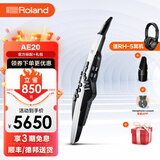 罗兰（Roland）AE-30旗舰款电吹管电萨克斯AE20自带音源电子管乐老年大学推荐款 AE20电吹管+备用吹嘴+全套配件