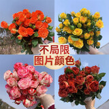 芊芊细语斗南基地直批发玫瑰鲜花全国速递配送女友礼物家用水养插花家庭 10支多头随机泡泡玫瑰+送保鲜剂