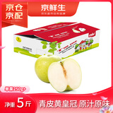 京鲜生 青草蜜梨 绿冠梨 净重5斤 单果250g+ 生鲜水果礼盒