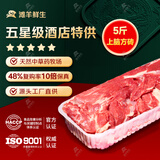 滩羊鲜生 宁夏滩羊肉 生鲜羊肉卷整卷新鲜羊肉片涮肉烧烤火锅食材源头直发 【高端】羔羊上脑方砖5斤