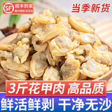 鲸甘郎花甲肉鲜活花甲剥肉无沙蛤蜊肉蛏子肉黄蚬子肉花蛤肉海鲜水产商用 无沙花甲肉净重3斤【有沙包赔】