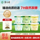 紫光园奶皮子酸奶【紫光园直发】鲜奶发酵北京特产酸奶120g左右中秋送礼 【新品】抹茶2+原味2+茉莉2