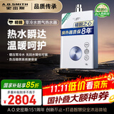 史密斯（A.O.SMITH）佳尼特16升精钢零冷水燃气热水器 国家补贴 不锈钢换热器包8年负压更安全JSQ31-TJ1