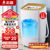 志高（CHIGO）脱水机甩干机小型迷你家用甩干桶出租房宿舍大容量单杠脱水桶烘干一体 12 玻璃盖板【不锈钢加厚桶蓝光款】