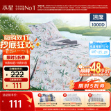 水星家纺凉席夏凉席子 1000D可水洗抑菌冰丝席A类透气二件套120cm×200cm