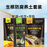 欢能矿源黄腐酸钾哈茨木霉菌剂枯草芽孢杆菌壮根生根防根腐微生物菌剂