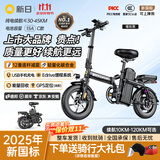 新日（Sunra）新国标折叠电动自行车铝合金代驾电动车锂电池助力电瓶车超长续航迷你小型男女士代步 豪华12减震/A品电芯/15A/45km