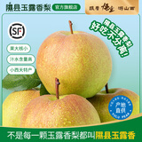 隰县玉露香梨 【顺丰现货】整箱香梨当季水果山西隰县小西天特产 孕妇水果送礼 9粒中果（净重约4.5斤）75+mm