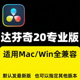 达芬奇软件调色20版DaVinciResolve Studio激活版19/18/17WIN\MAC 自行安装【送教程win\mac】