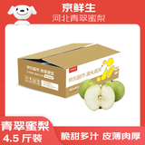 京鲜生 河北青翠蜜梨 净重4.5斤 单果250g+ 青皇冠梨 生鲜水果 源头直发