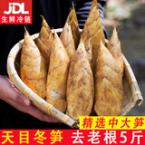 时味季正宗临安天目冬笋5斤新鲜现挖野生毛竹笋农家野生新鲜竹笋新鲜笋 3斤 4-8两【大笋】