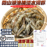 云映渔舟 微山湖淡水小河虾（活冻）生态新鲜青虾草虾醉虾鲜活清水小明虾 中号（4-6cm） 1000g(净重)
