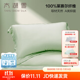 太湖雪枕套一对装A类100%兰精天丝面料莱赛尔抗菌床单隔脏被单 春竹绿枕套*2【48x74cm】 A类抗菌100%天丝面料 48cm*74cm
