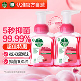 洗手液泡沫樱桃芬芳250ml*2 儿童泡泡洗手液5秒抑菌家庭用